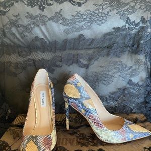 Multi Colored Snake Skin